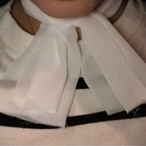 Hepburn’s Elegance Classic Neck Tie